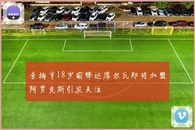 奈梅亨18岁前锋达席尔瓦即将加盟阿贾克斯引发关注