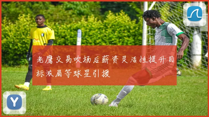 老鹰交易吹杨后薪资灵活性提升目标浓眉等球星引援